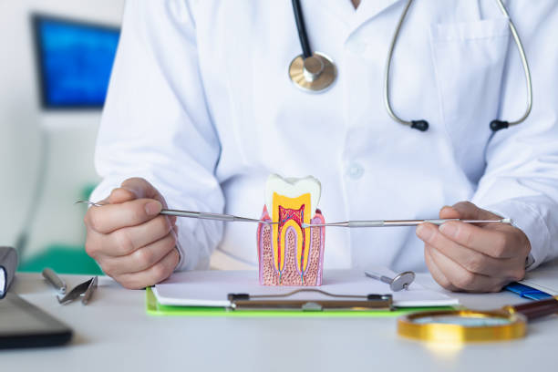 Best Weekend Emergency Dentist in Monroeville, AL